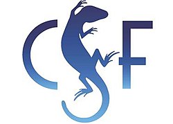 Conservation Strategy Fund (CSF)